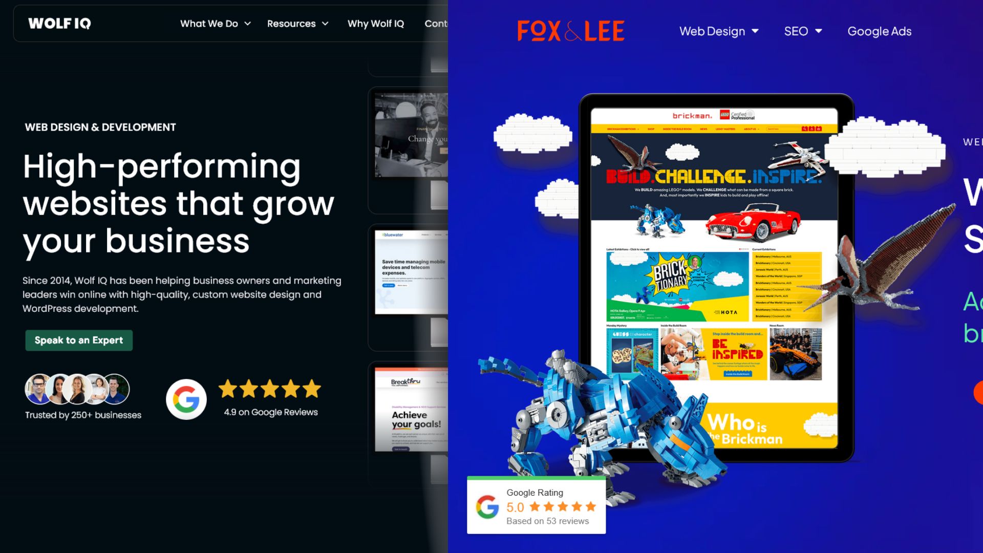 Fox and Lee & Wolf IQ